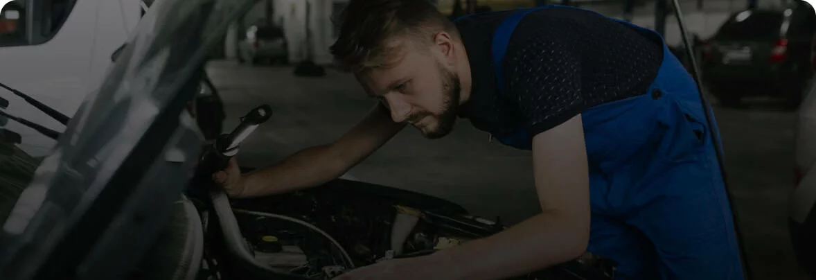 MD Auto — Automotive